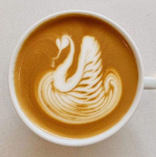 Swan latte art